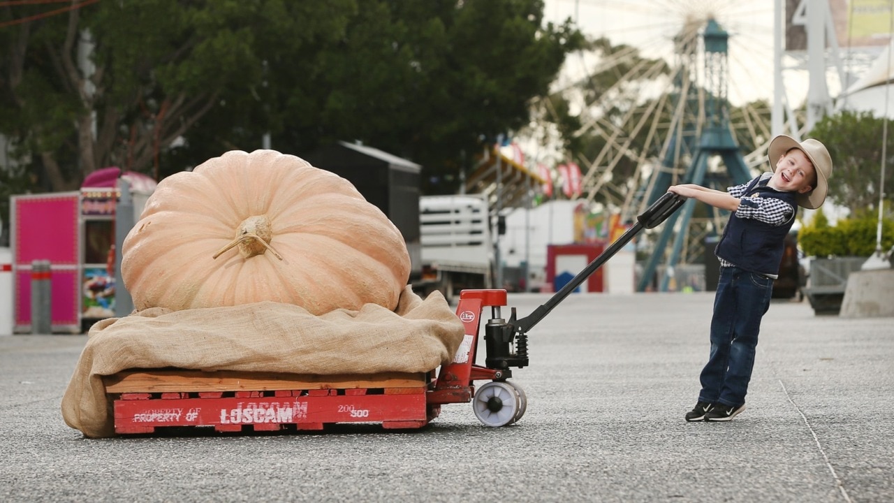 Sydney Royal Easter show cancelled amid ongoing coronavirus threat 