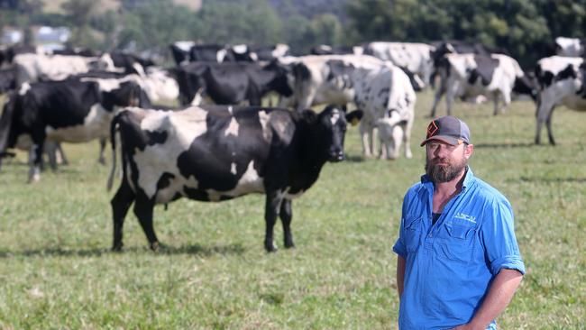 Dairy farmer Craig Calvert pictured on his Wiseleigh property. Picture Yuri Kouzmin