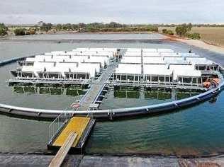 An example of floating solar panels. Isaac Regional Council will investigate the feasibility of floating solar arrays at its water treatment plants.