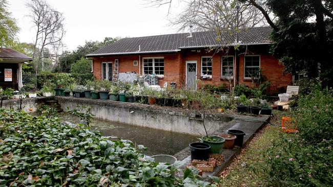 The backyard of Ruth’s Castle Hill home. Picture: Adam Ward