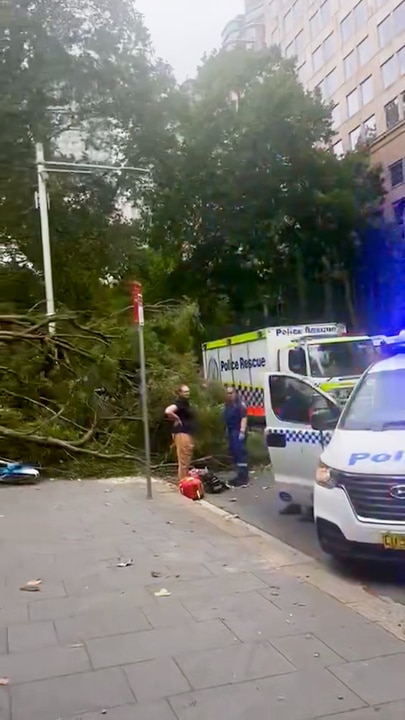 Huge tree falls in wild winds in Sydney CBD