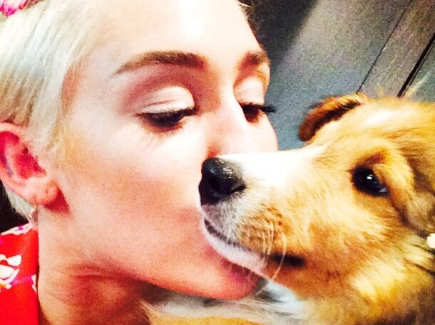 Miley Cyrus and her new dog Emu. Picture: Supplied/Instagram