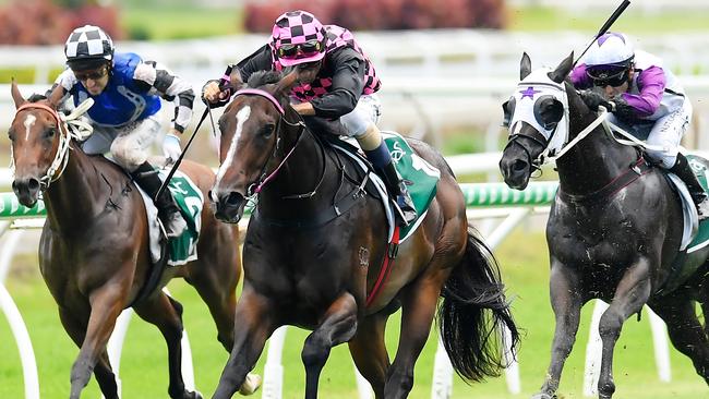 Rothfire will chasing his fourth straight win on Saturday at Doomben. Picture: AAP