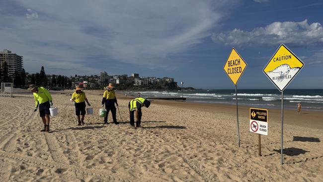 Northern Beaches Council workers collecting mystery grey balls of pollution from Manly Beach on Tuesday. Picture: Northern Beaches Council.