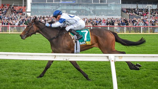 Served Cold (Blake Shinn) wins the Geelong Classic on October 25. Picture: Reg Ryan / Racing Photos