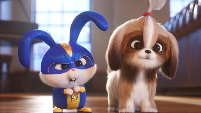 A scene from The Secret Life of Pets 2.