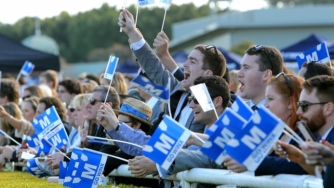 Winx has been a moneymaker for punters during her record-breaking winning streak. Picture: Tim Hunter