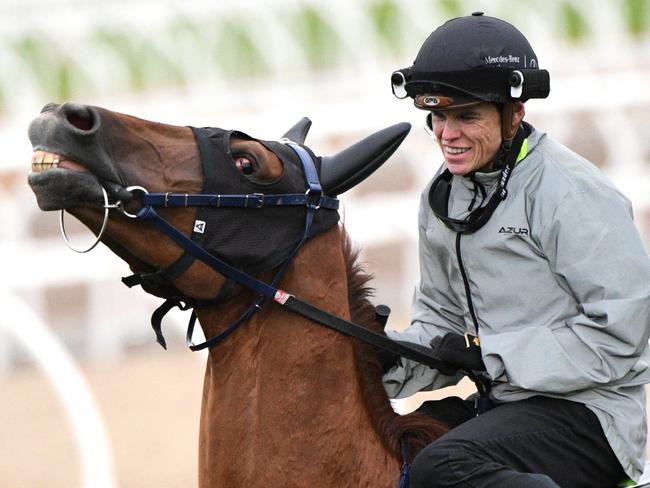 Jockey Craig Williams rides 2019 Melbourne Cup winner Vow And Declare after a trackwork session at Flemington racecourse in Melbourne, Tuesday, March 3, 2020. (AAP Image/Vince Caligiuri) NO ARCHIVING, EDITORIAL USE ONLY