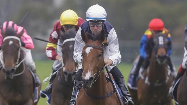 Lady Laguna had the favours last start. Picture: Getty Images