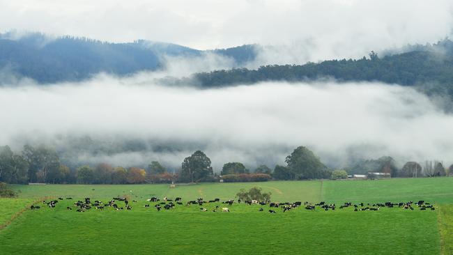 Homes in Gippsland are some of the most affordable in Victoria with a median dwelling price of $525,639.