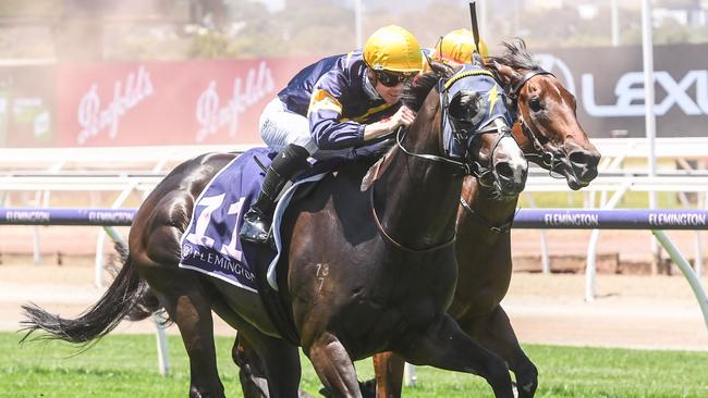 Snapper will chase a second consecutive Standish Handicap win when he resumes at Flemington on Saturday. Picture: Racing Photos via Getty Images.