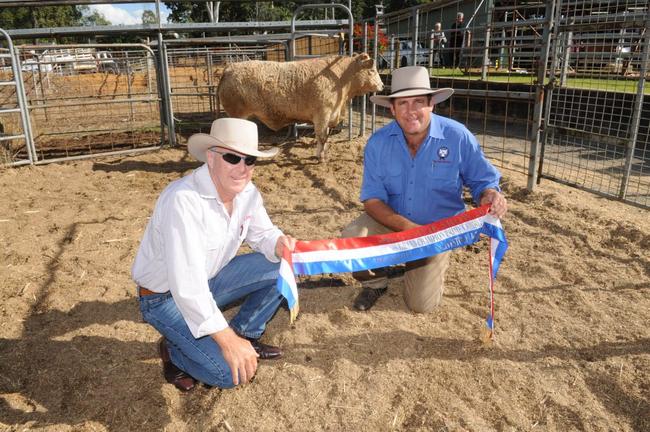 Buyer Steve Groom and auctioneer Dan O'Sullivan with the winner of the prime cattle at the 2012 Gympie Show. Picture: Craig Warhurst