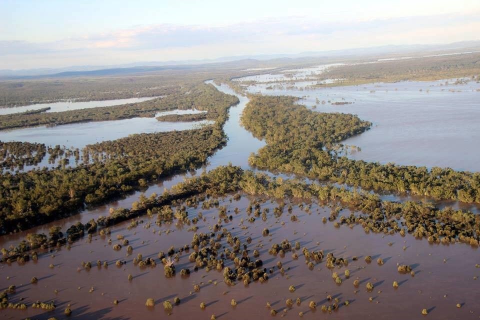 MEETING POINT: Flooding on April 2 at Riverslea, a major junction where the Fitzroy River meets other major rivers in the catchment. 