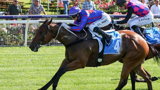 Hedged is chasing a first stakes win in the Wangoom Handicap at Warrnambool on Wednesday. Picture: George Sal/Racing Photos via Getty Images