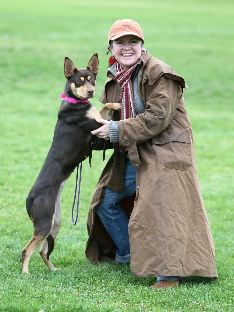 Furever friends: Carolyn May, from Inverloch, with Kelpie Wop, who she was looking to buy. Picture Yuri Kouzmin