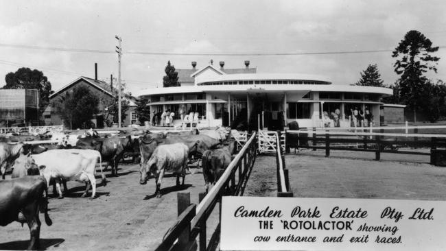 A postcard from the late 1950s of the Camden Park Estate rotolactor showing the cow entrance and exits to the dairy. Picture: Belgenny Farm Trust