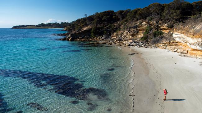 Pristine beaches abound on the Maria Island Walk.