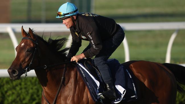 (PLEAE CHECK HORSE NAMES) Believed to be either French gun Lazzat or English star Lake Forest. (NEED TO CONFIRM CORRECT HORSE ID).  The Daily telegraph 23.10.2024 Golden Eagle runners, Track work at Canterbury Park.  Picture: Rohan Kelly