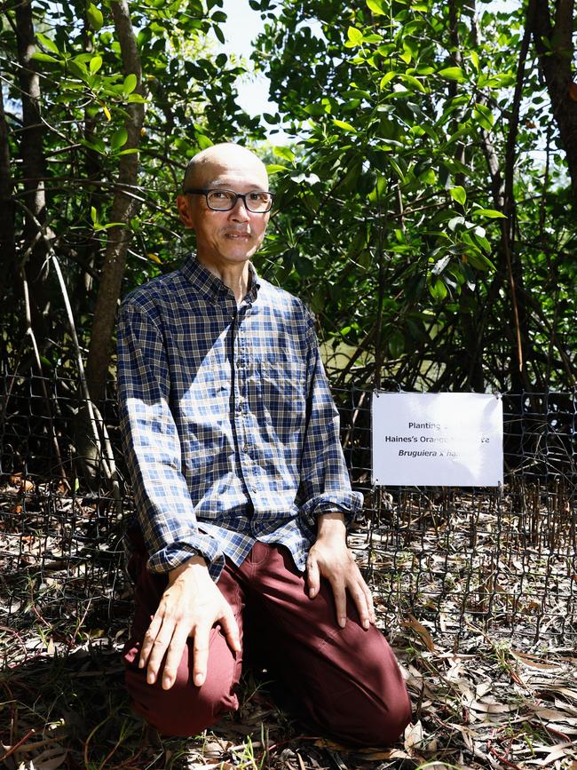 Cairns man Hidetoshi Kudo says he “loves mangroves”. Picture: Brendan Radke