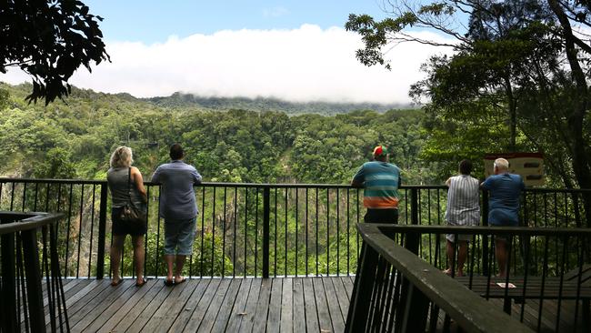 North Queensland is full of amazing rainforest walks and nature experiences. Picture: BRENDAN RADKE