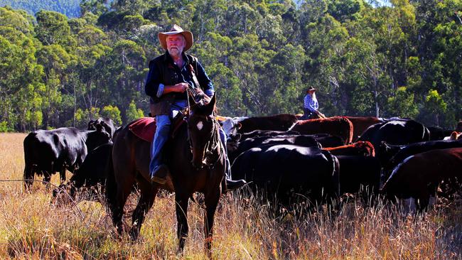 High country cattleman Charlie Lovick was on his horse when the 5.8 magnitude earthquake hit.