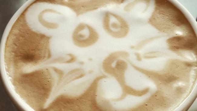 Some latte art from Little Mynx Cafe, Surfers Paradise