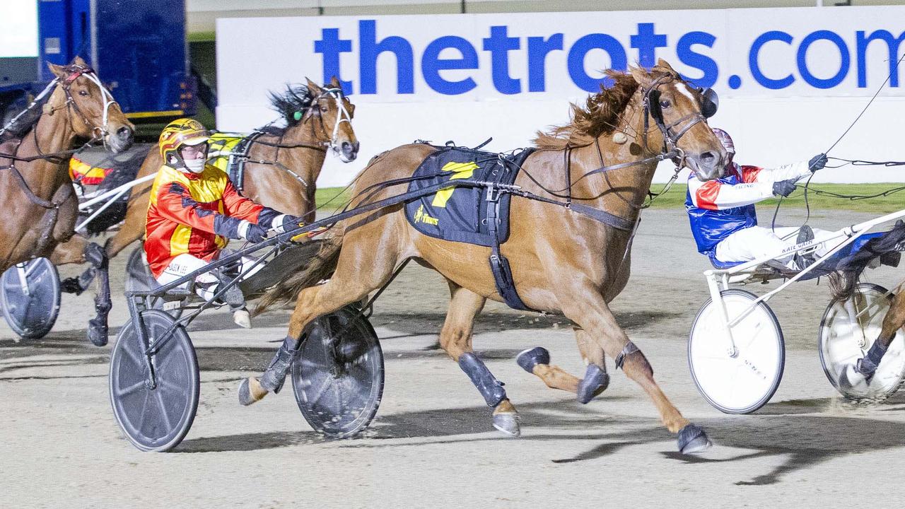 Keayang Chucky is one of three runners trainer Marg Lee has in the Inter Dominion trotting final. Picture: Stuart McCormick