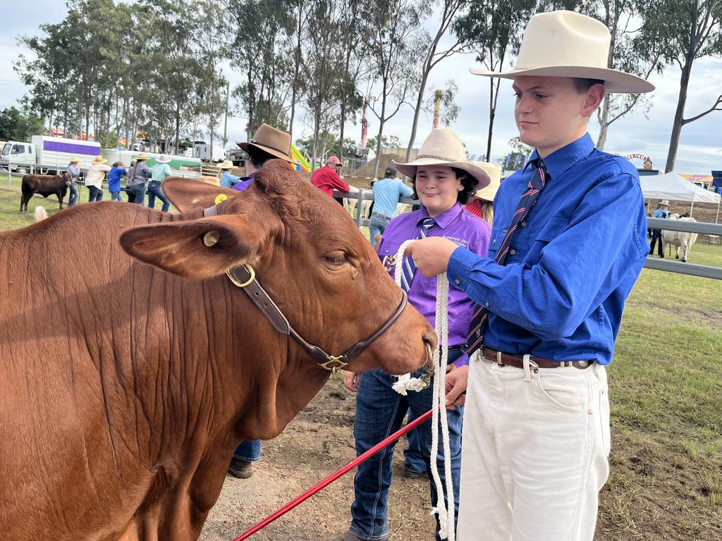 Luca Harms and Mitchell MacGregor having a ball in the cattle competition at the show.
