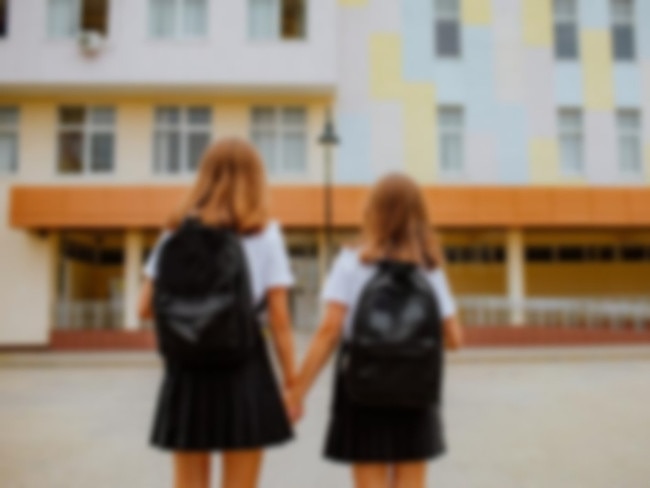 The state government said it was “leading the nation” in educating children about respectful relationships.