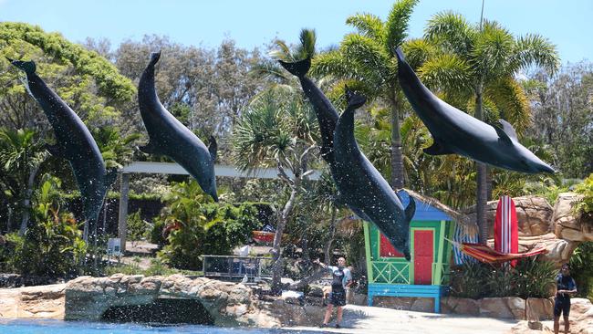 Dolphins perform at Sea World. Picture: Mike Batterham