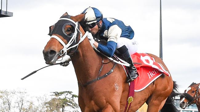 Buckaroo (GB) ridden by Joao Moreira (BRZ) wins the Henley Homes Underwood Stakes at Caulfield Racecourse on September 21, 2024 in Caulfield, Australia. (Photo by Reg Ryan/Racing Photos via Getty Images)