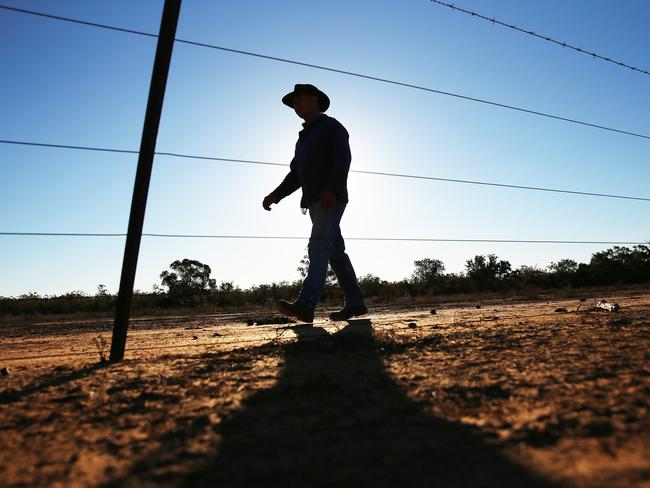 Associations and farmers like Jon are wanting the drought to be called a “natural disaster”. Picture: Sam Ruttyn