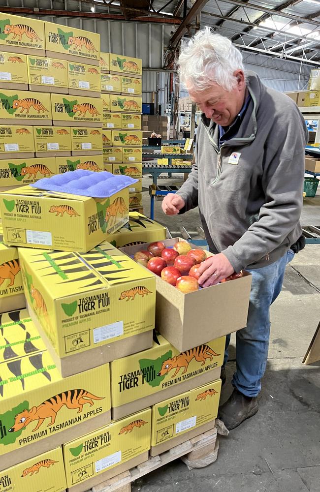 Scott Brothers orchard owner Andrew Scott with packed Tiger Fuji apples. Picture: supplied.