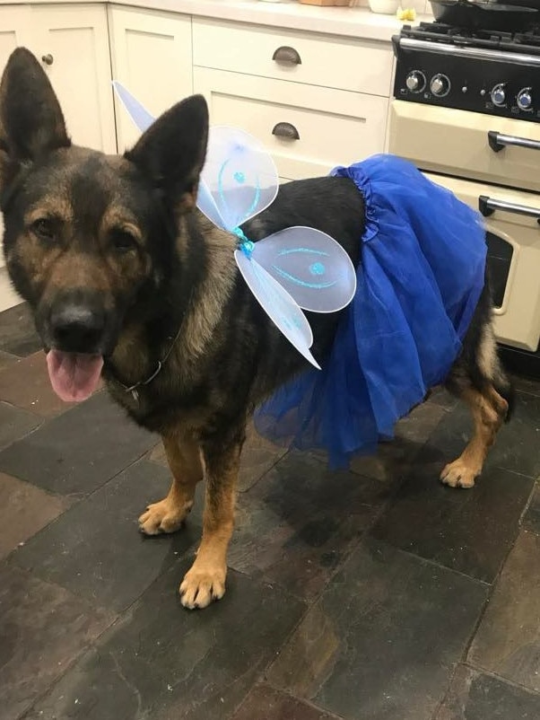 PD Rusty has hung up his Sabre vest for some well-deserved rest. Picture: Supplied.