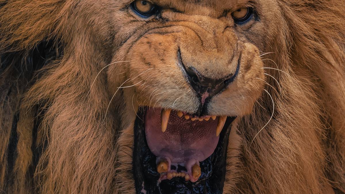 The ASX has roared back to life in the first hour of Friday trade, setting up for an eighth day in the green. Pic: Getty Images