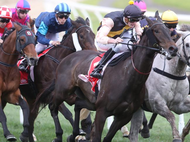 Generic racing images at Caulfield races. Saturday. Sept 2. 2017. Picture: David Crosling