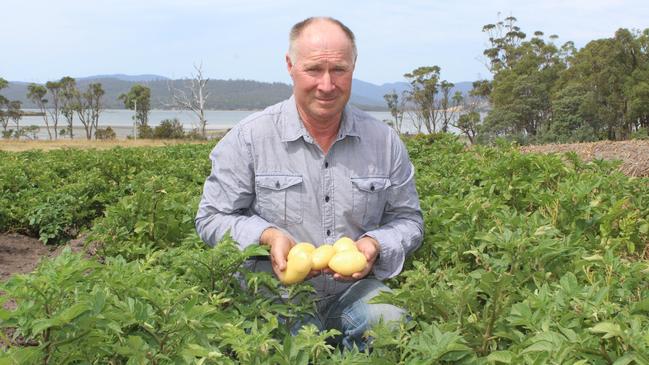 Gerard Daly, who alongside wife Susie sold Daly Potato Co to Pure Foods Tasmania in 2020. They still supply their former business. Picture: File