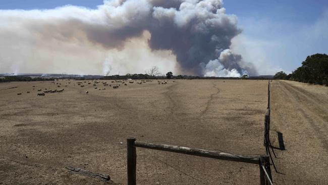 Plumes of smoke seen from Welsh Road looking North towards Lathami Conservation Park, Stokes Bay and Cassini. (AAP/Emma Brasier), January 6, 2020.