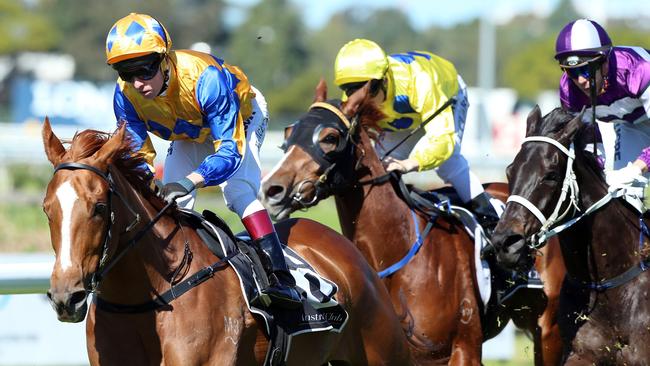 Extensible will be chasing back to back wins on Saturday. Picture: Simon Bullard