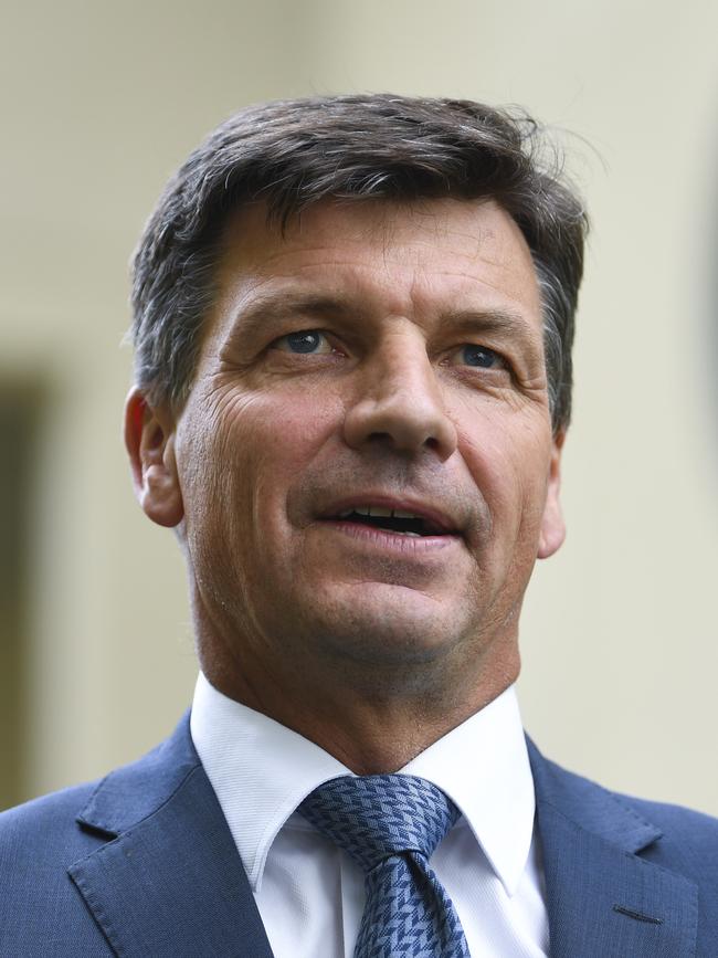 Energy Minister Angus Taylor labelled Labor’s policy a “lunch box tax” given at least 15 food and beverage companies were among the 147 businesses facing emissions caps.