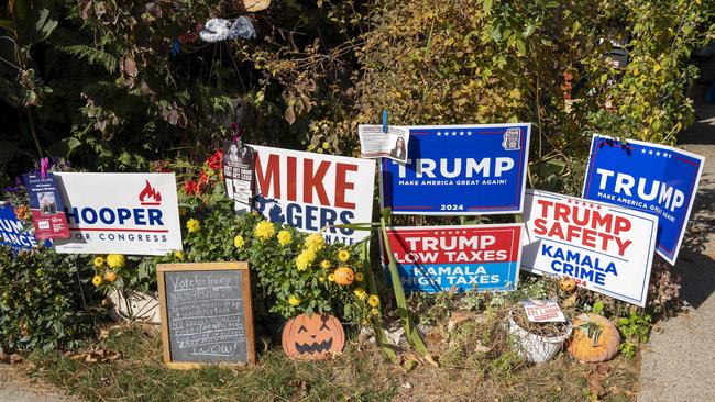 An array of lawn signs in support of President Trump in Michigan. Picture: Valaurian Waller