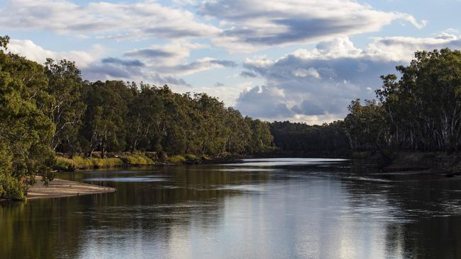 Farmers are feeling the pressure due to the amount of water being relocated from the Murray and Murrumbidgee Rivers. Picture: Hollie Adams