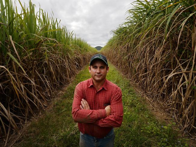 Canegrowers Mackay Area Committee chairman Joseph Borg.