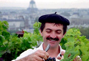 Harvest hopes ... 350 Pinot Noir vines and 350 Chardonnay were planted in a vineyard of rich earth trucked in from surrounding farmland to the concrete, high-rise complex of La Defense, on the western rim of Paris. Picture: AP