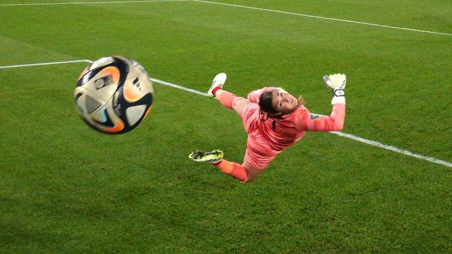 The view from the Lionesses' net.