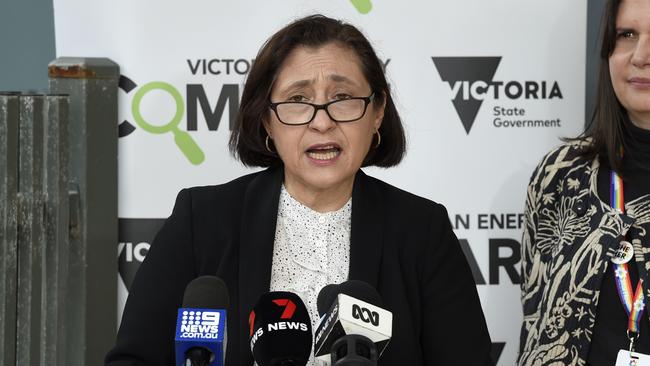 Victorian Minister Lily D'Ambrosio. Picture: NCA NewsWire / Andrew Henshaw