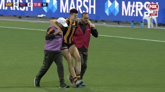 Mitchell Lewis suffered an ankle injury late in the Hawks’ clash with Melbourne.