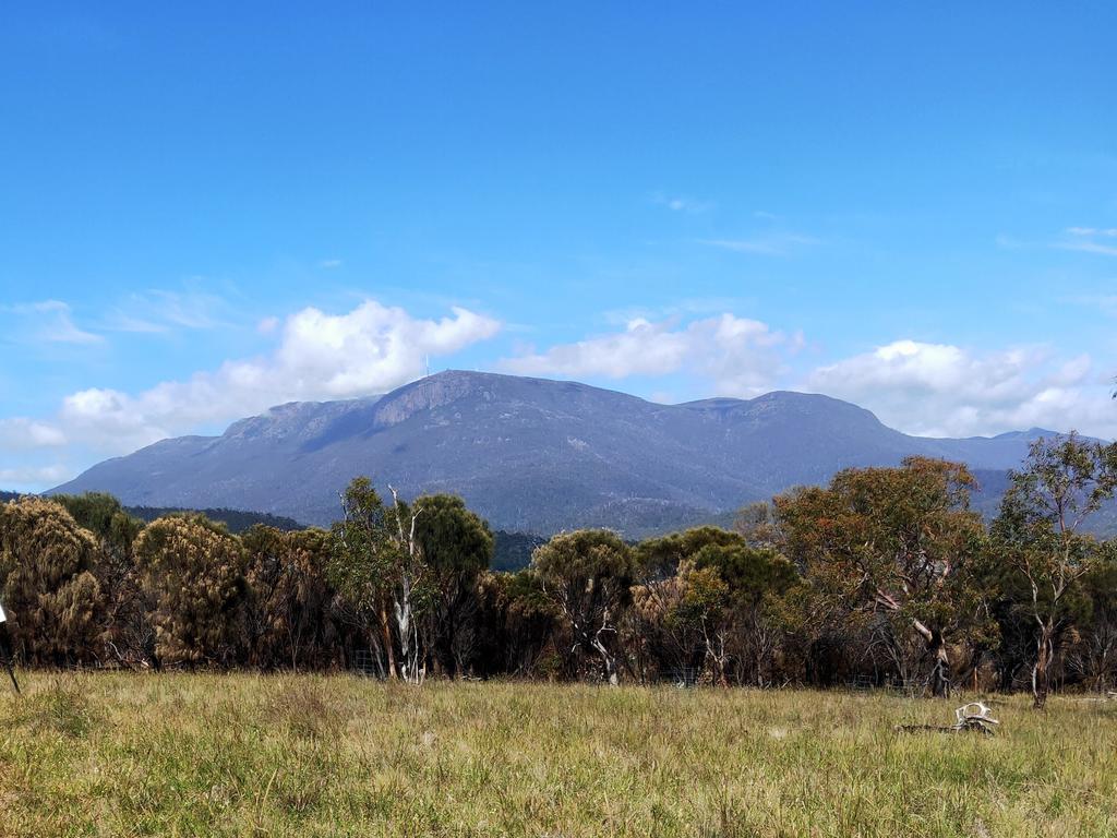 Queens Domain. Picture: Deb Perry. Your Focus on Tasmania ***ONE TIME USE ONLY***