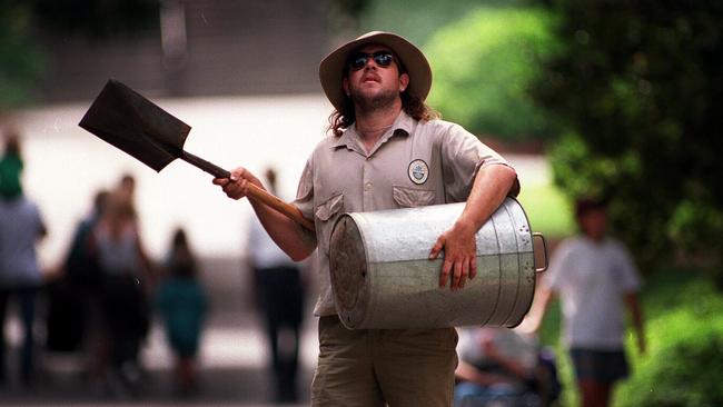 Royal Botanic Garden Sydney senior gardens officer Troy Mason scaring flying foxes in 1997. Picture: Jeff Darmanin