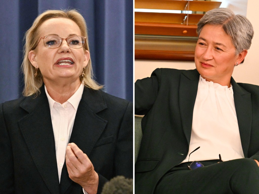 Wong blasts Ley for ‘politicising’ Israel-Hamas conflict after attack on PM